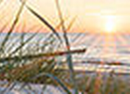 Silentia PhotoPanels